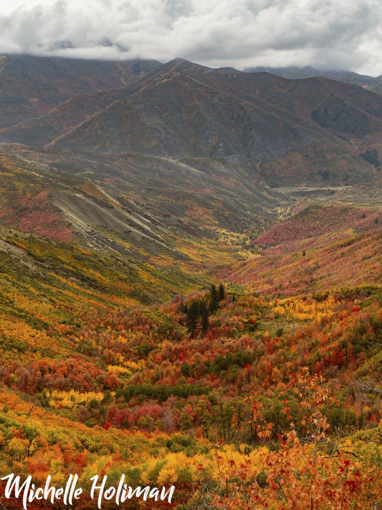 Utah Utah 18
