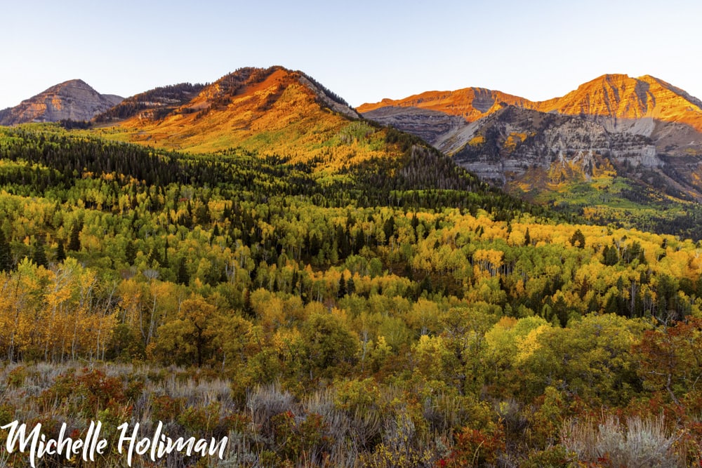 Utah Utah 20
