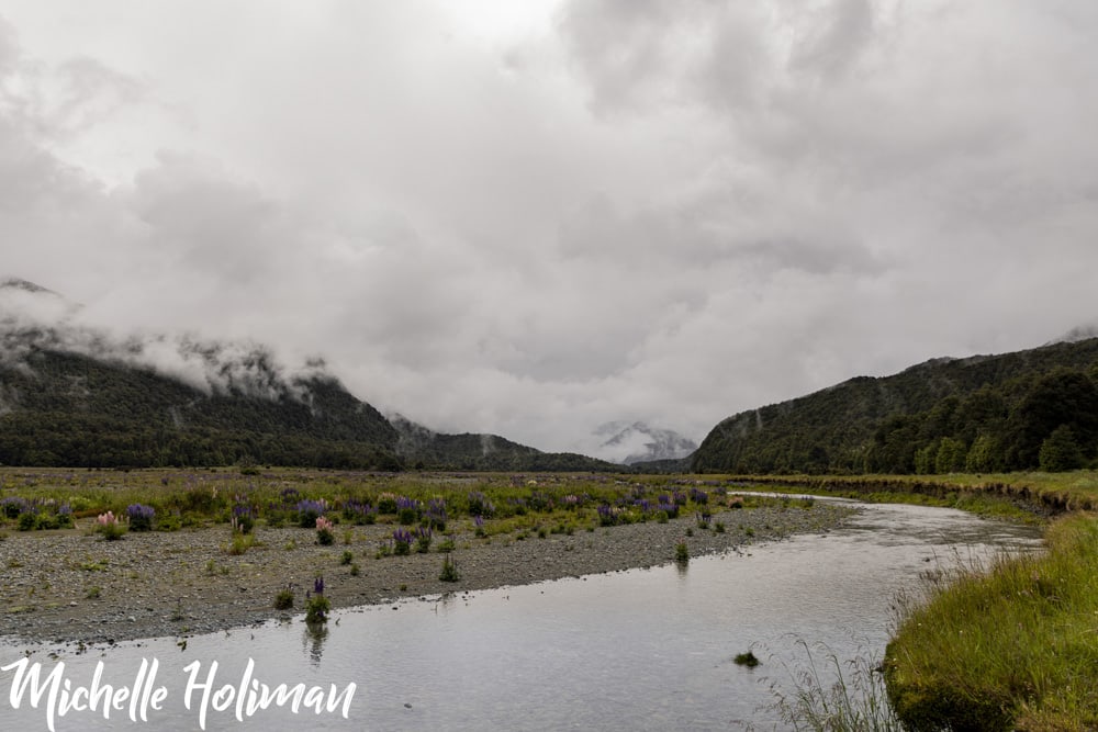 New Zealand New Zealand 13
