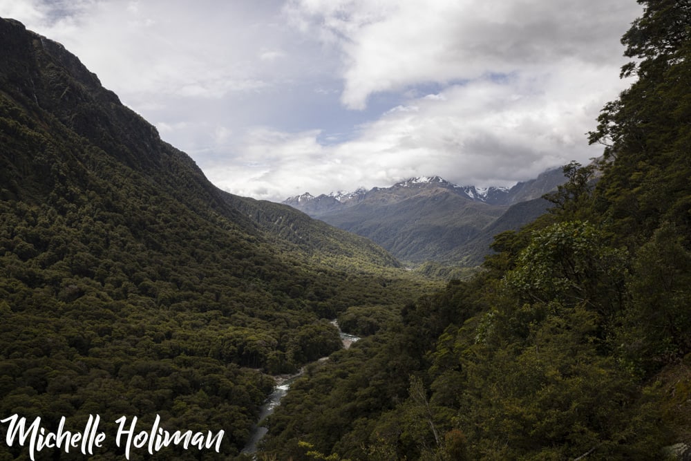 New Zealand New Zealand 16