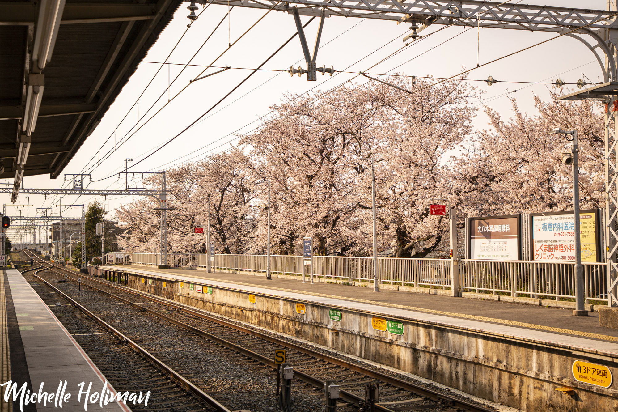 Exploring Japan Like a Local: A Complete Guide to Japan’s Public Transit