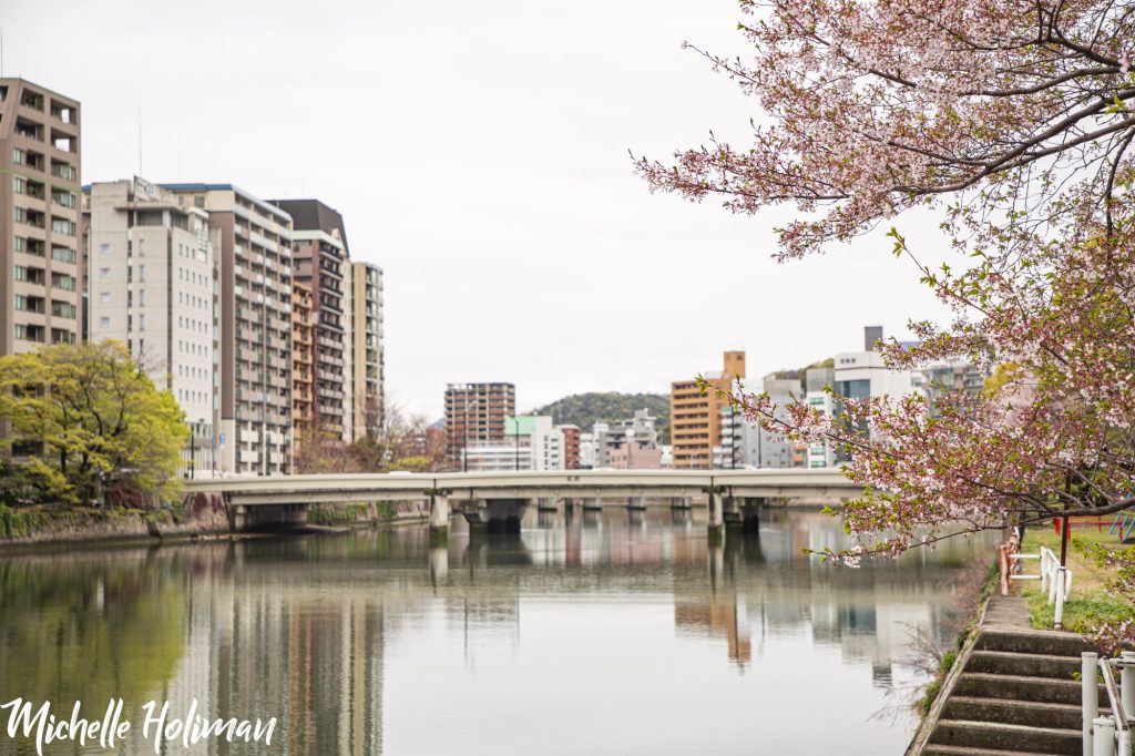 Bridge over river with cherry blossoms in bloom, Hiroshima, Japan