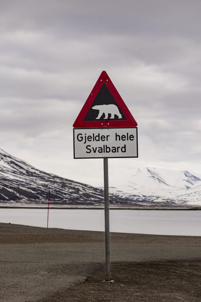We asked our tour guide if we could stop at one of these signs!
