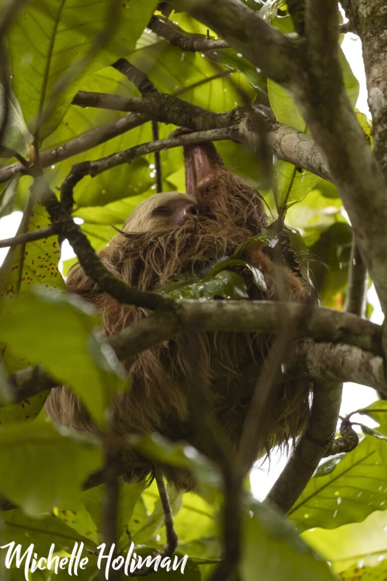 Costa Rica-1