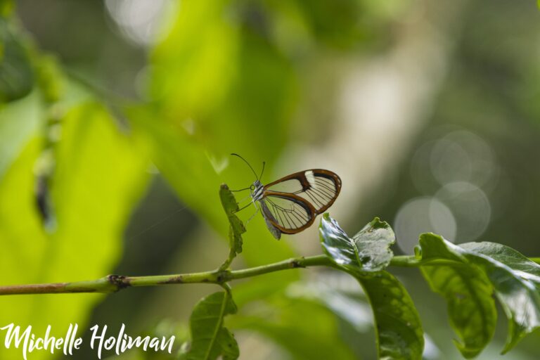 Costa Rica-12