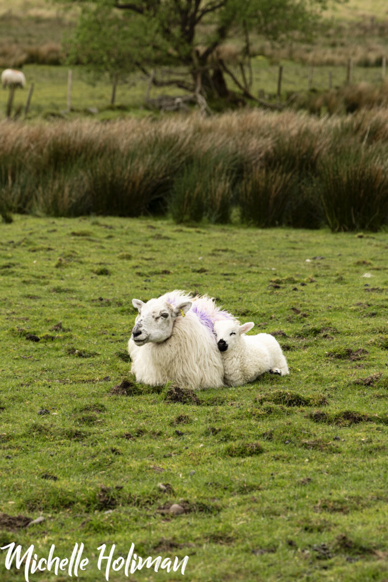 Ireland-10