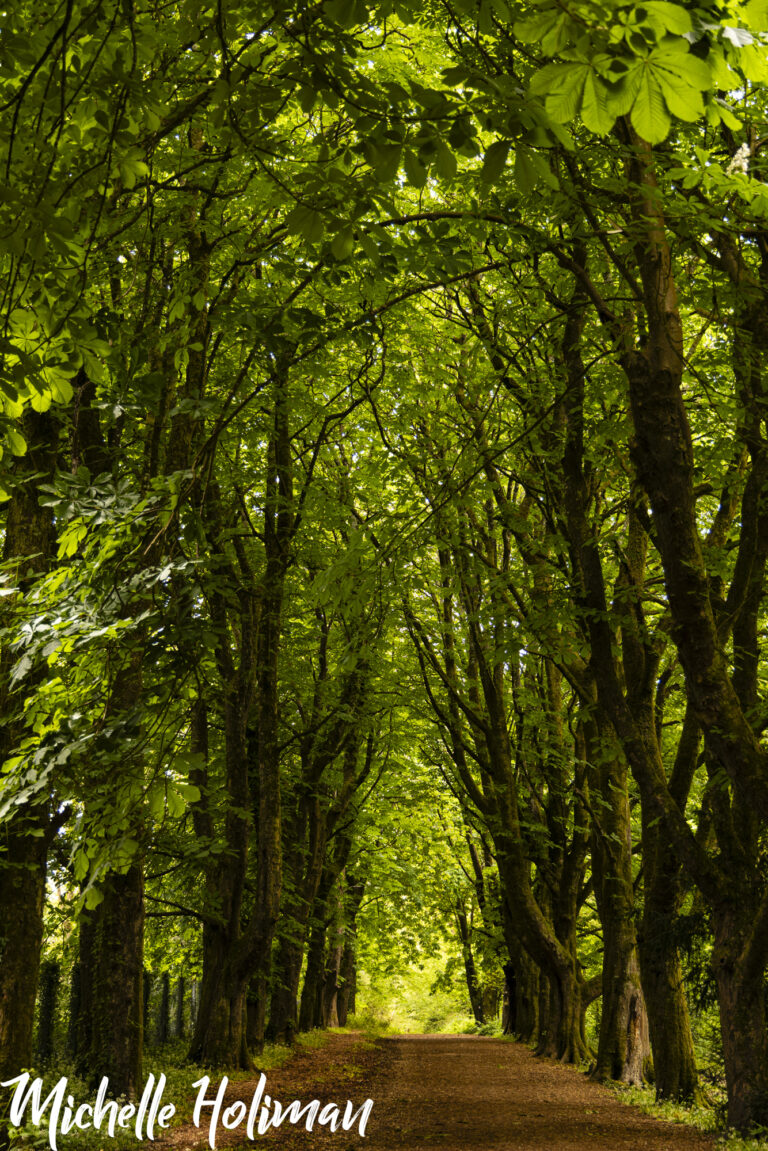 Ireland-3