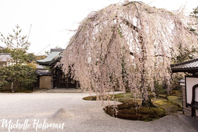 Japan-23