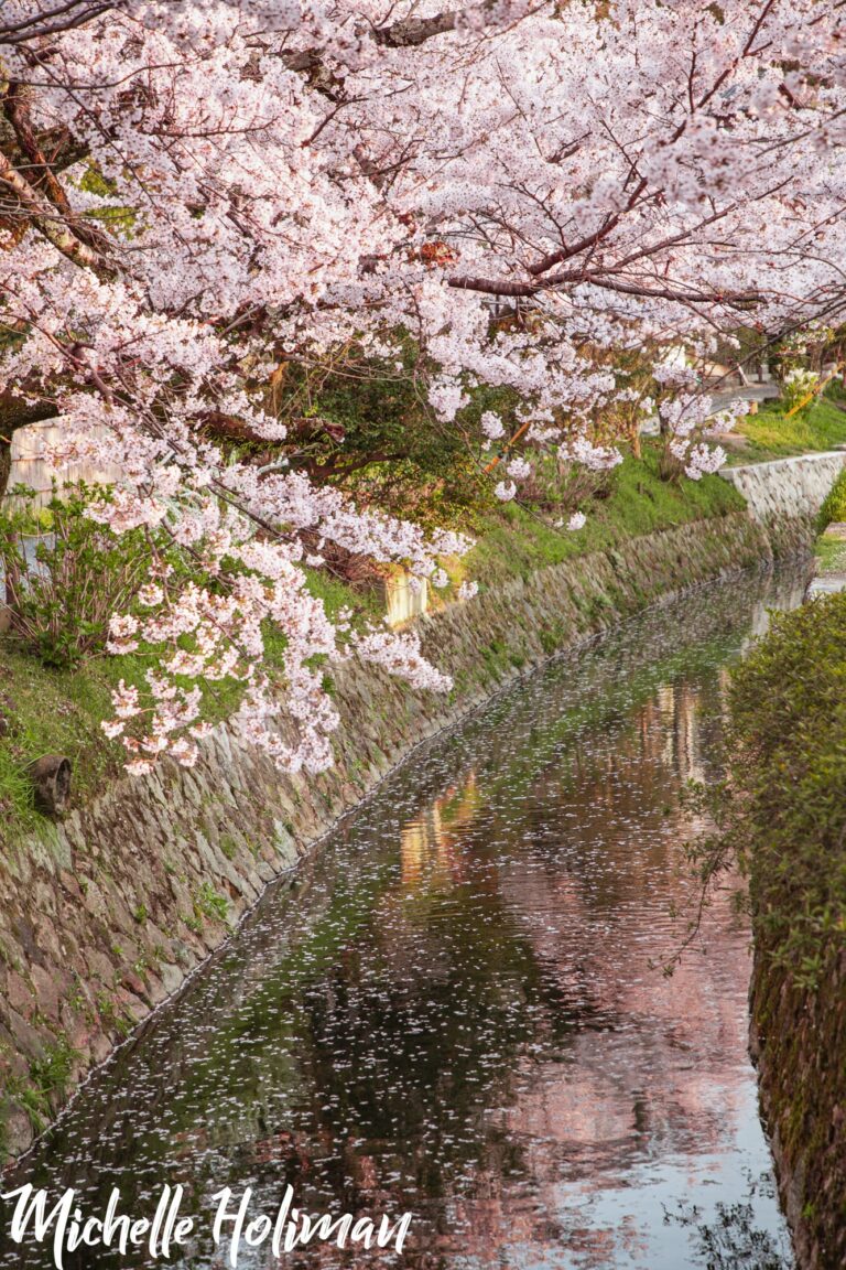 Japan-25