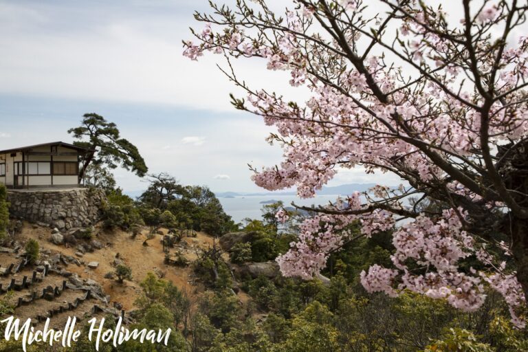 Japan-30