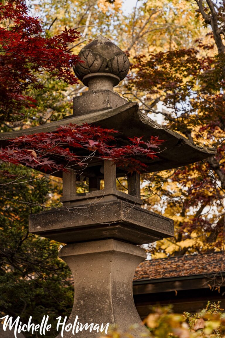 Japan-35