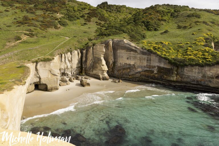 New Zealand-25