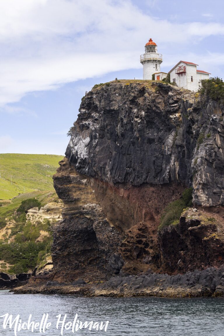 New Zealand-6