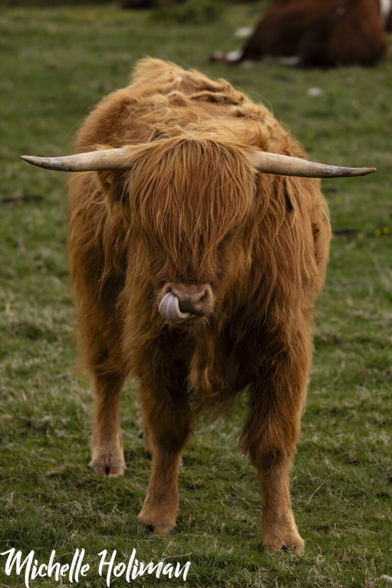 Scotland-27