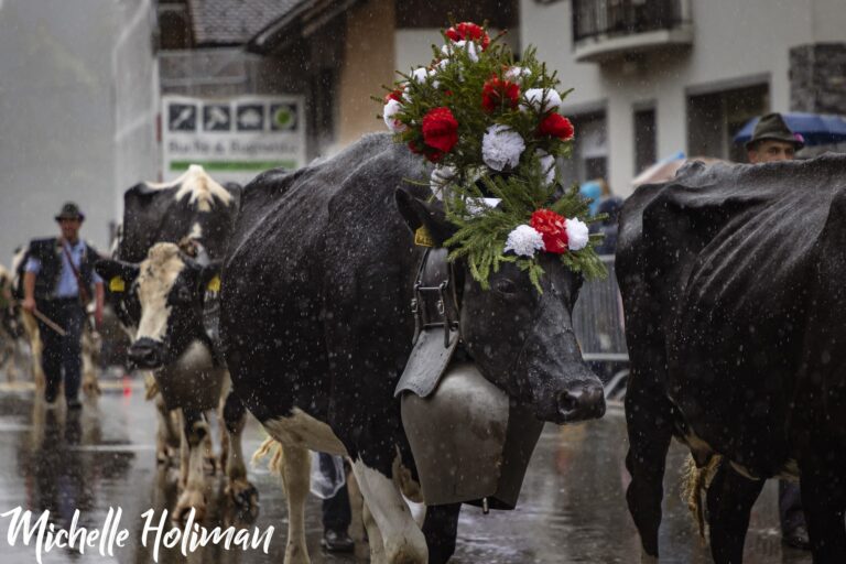 Switzerland-2