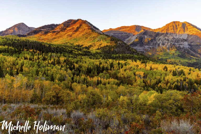 Utah-20